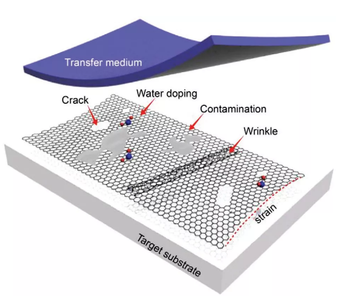 石墨烯转移为化学气相沉积石墨烯的应用铺平道路