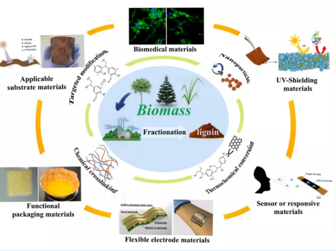 greenchemistry综述先进多功能木质素基生物降解复合膜材料助力可持续