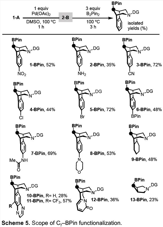 有機angew密歇根大學sanford課題組實現鈀介導下脂環胺的γch官能團化