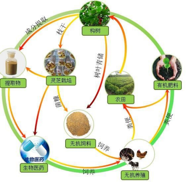 农林废弃物功能化利用技术与应用