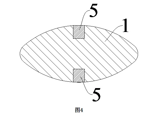 捕獲3.jpg