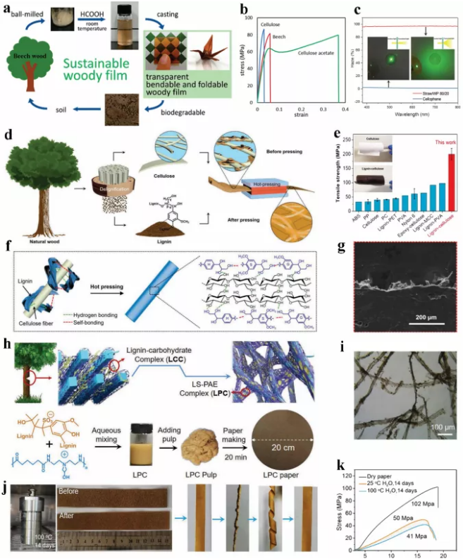 green chemistry綜述:先進,多功能木質素基生物降解複合膜材料助力可