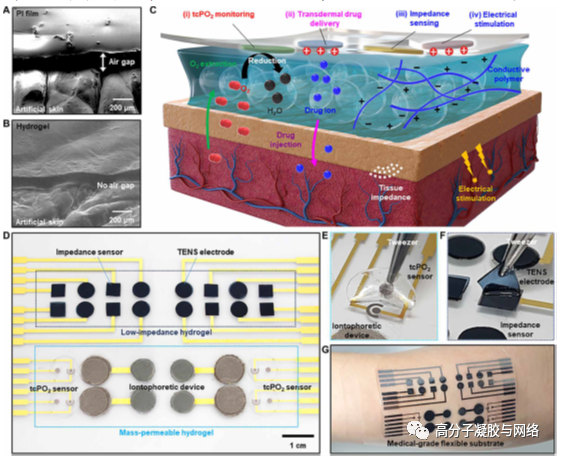 可穿戴生物电子设备的组织样皮肤设备接口-高分子凝胶与网络-科易网