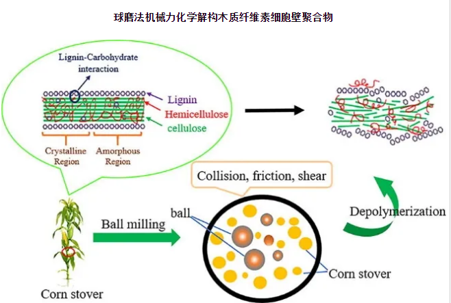 球磨法机械力化学解构木质纤维素细胞壁聚合物木质纤维素生物质是一种