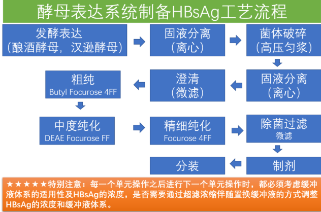 圖:酵母表達系統製備hbsag工藝流程(自制)圖:cho細胞表達系統製備